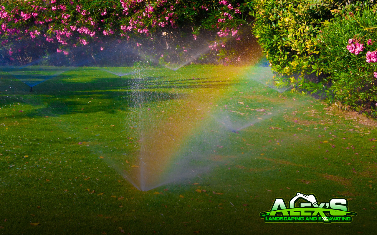 Increase Watering During the Hot Season