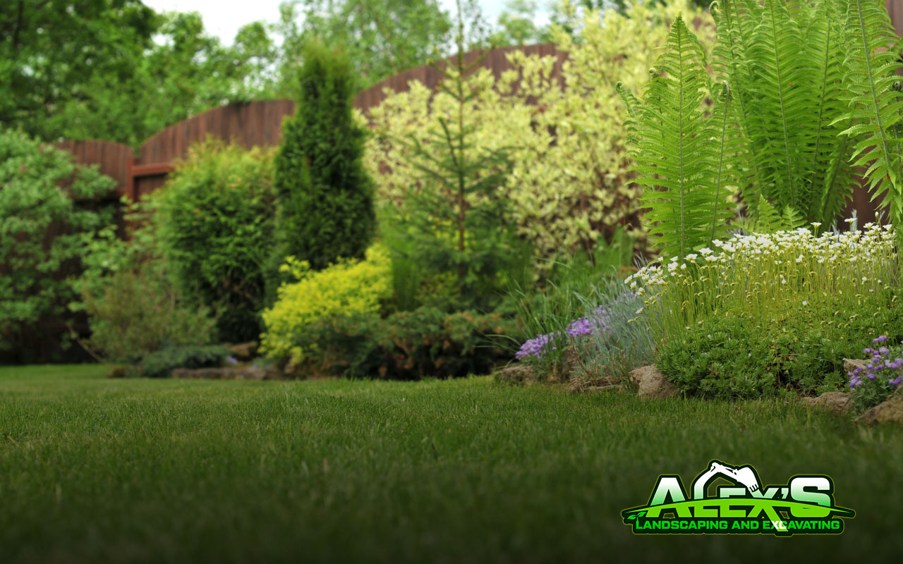 Beautiful Green and Natural Yard— Alex’s Landscaping and Excavating