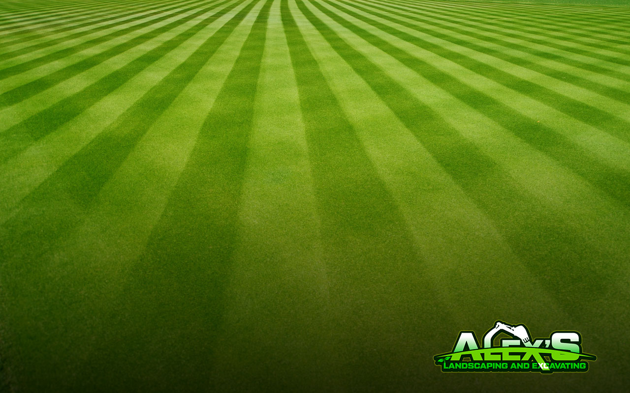 benefits of lawn mowing patterns