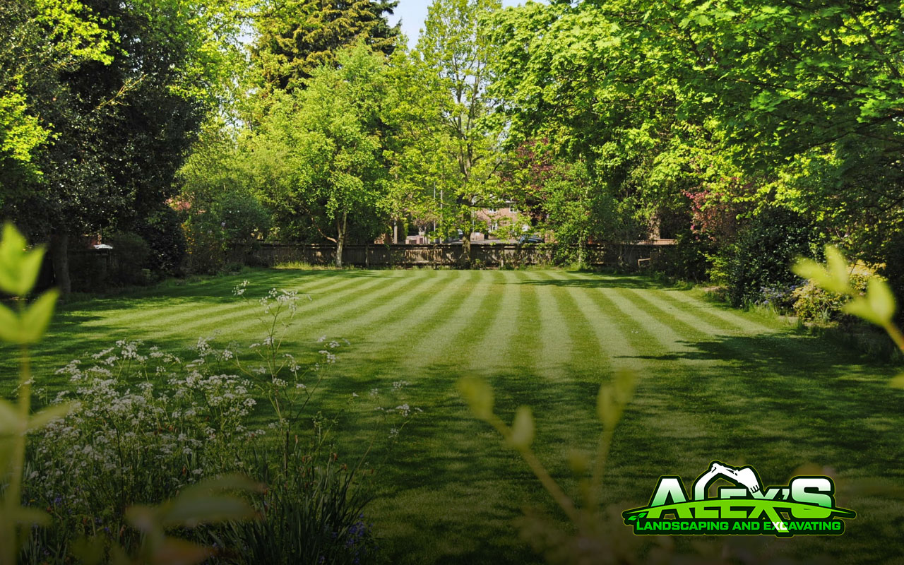 lawn mowing patterns for your garden