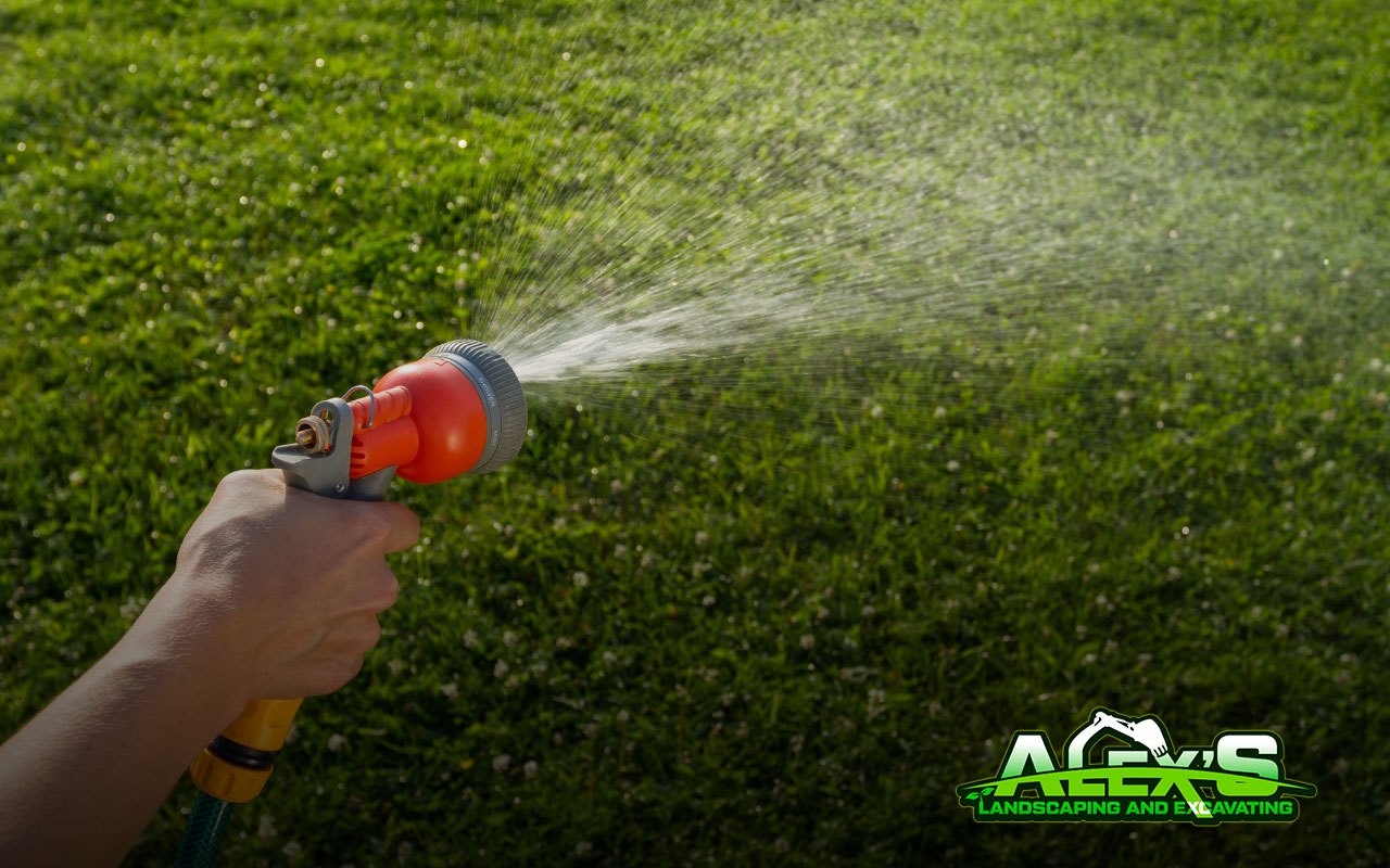 how to water the lawn