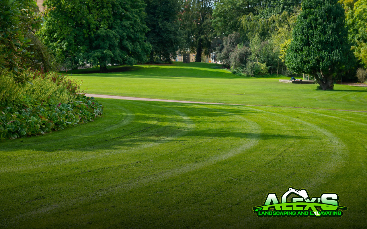 Man mowing the lawn with some patterns