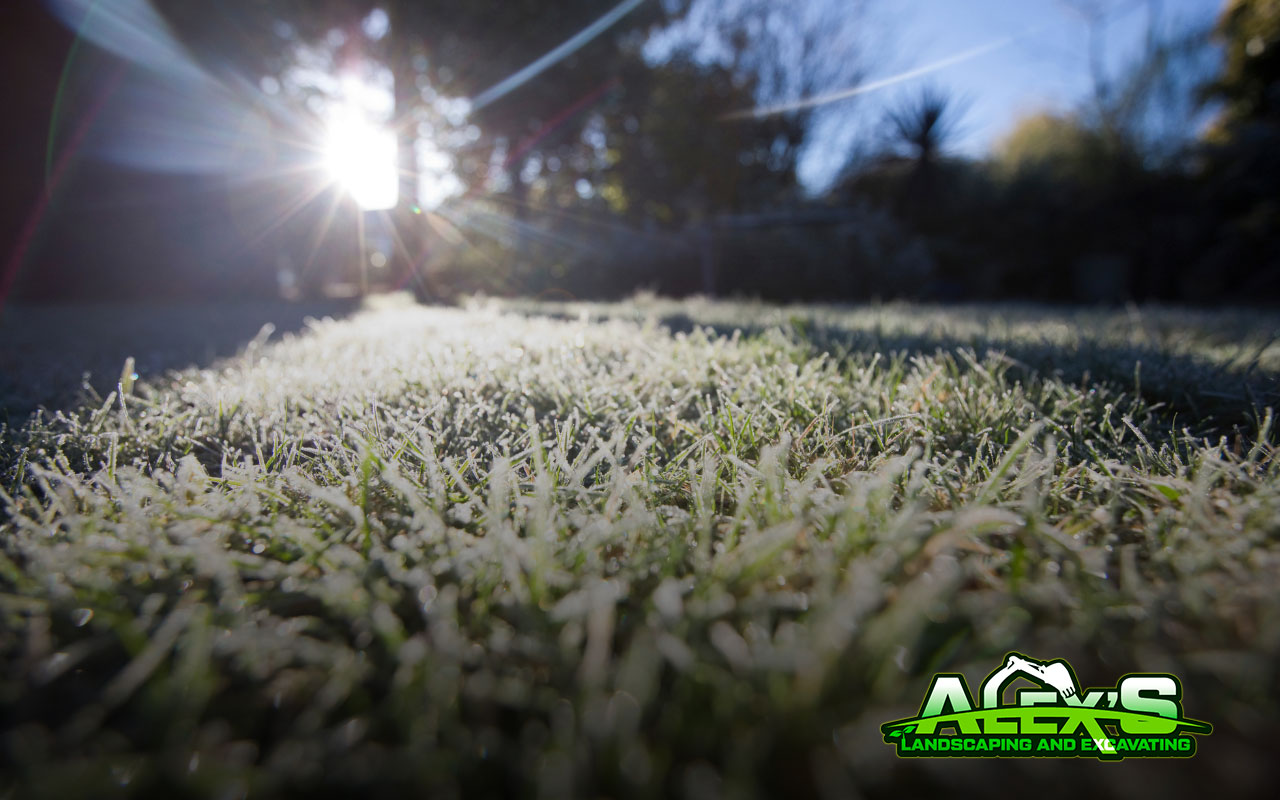 Winter Lawn Mowing