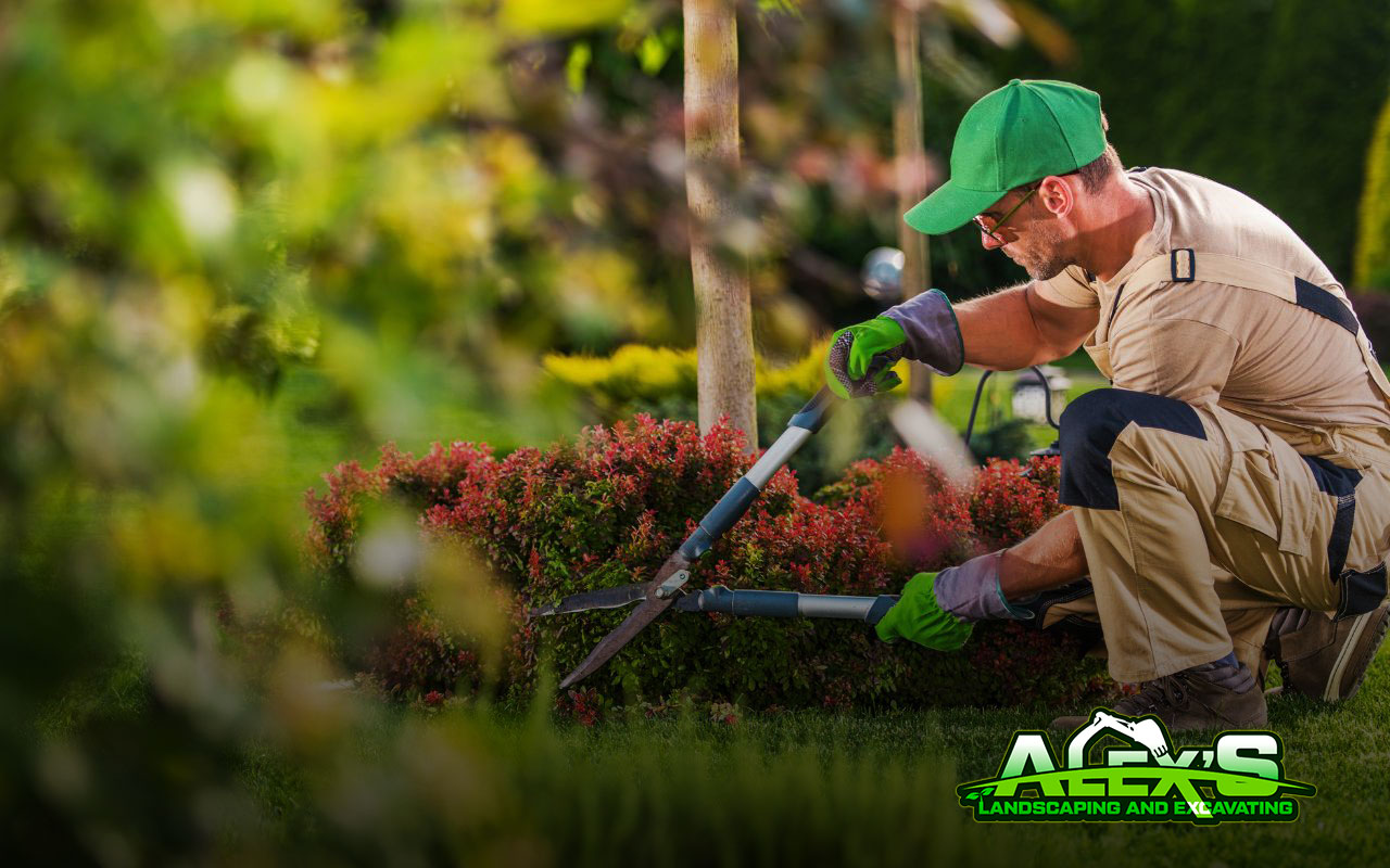 Best Landscaping Services in Poulsbo for a Beautiful Garden.